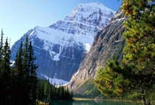 马赛成功逆转，晋级欧冠半决赛