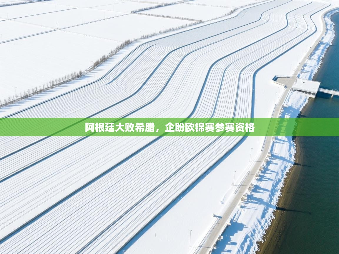 阿根廷大败希腊，企盼欧锦赛参赛资格  第2张