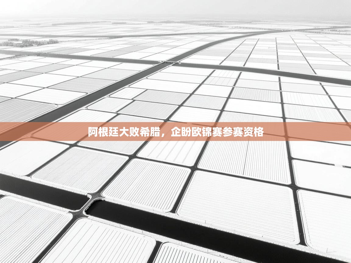 阿根廷大败希腊，企盼欧锦赛参赛资格  第1张